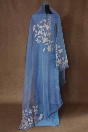Tissue Dola Silk Suit (SW 1364)